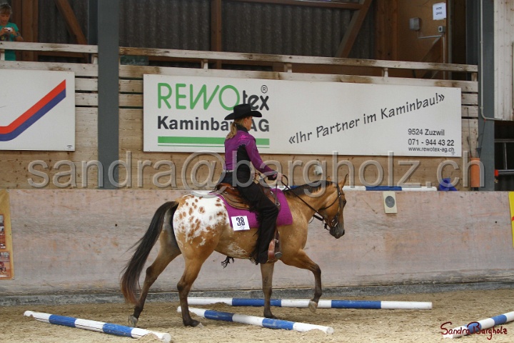 26-ApHC GT_007.jpg